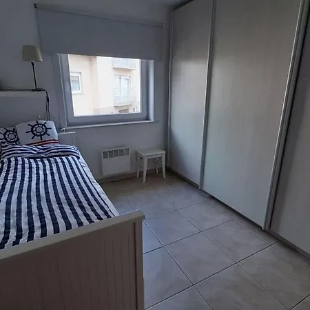 Comfortable Holiday